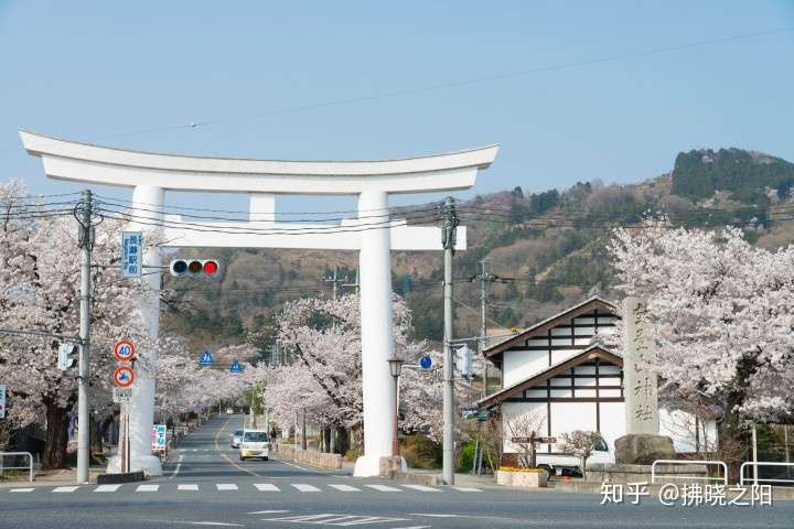 日本旅游 不想在东京赏樱人挤人 埼玉 超赞樱花隧道10选 知乎