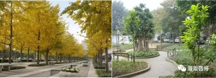 详解|城市道路绿地景观设计