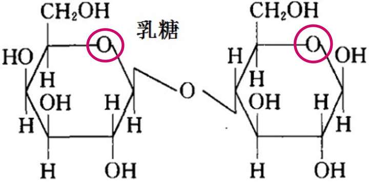 蔗糖为什么不是还原糖图片