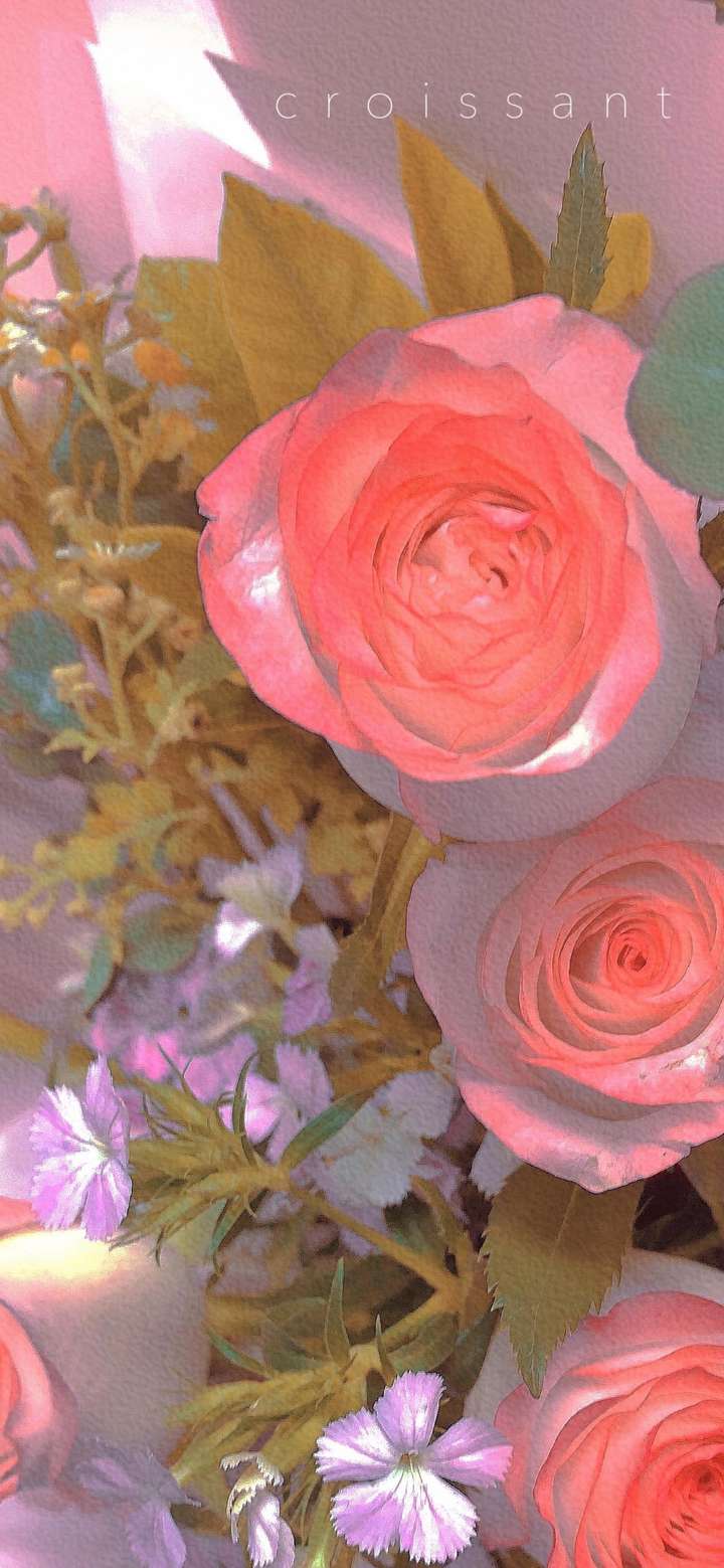 有什么你很喜欢很欲且不俗的壁纸吗?