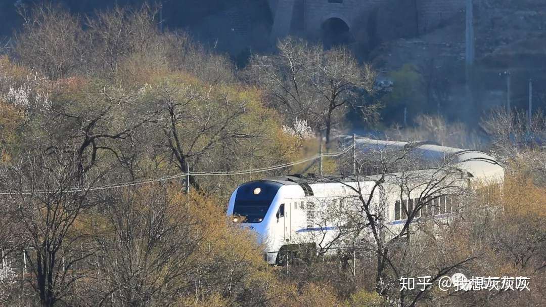 最强s2线 开往春天的列车 花海赏花和拍摄攻略 不强随意喷 知乎