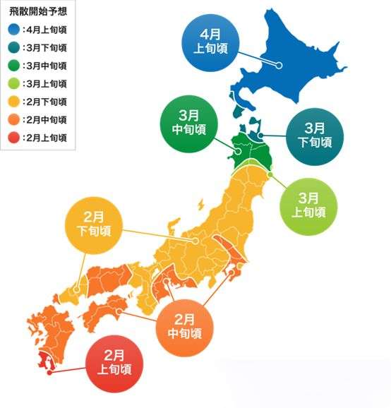 疫情之下的日本 汝之蜜糖 彼之砒霜 的花粉过敏 知乎