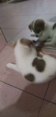 v2-f1ff8344997fb18203d376845bc9ffaf_bh.jpg?source=1940ef5c