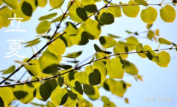 季節の大和言葉100選 夏の言葉２５選 知乎