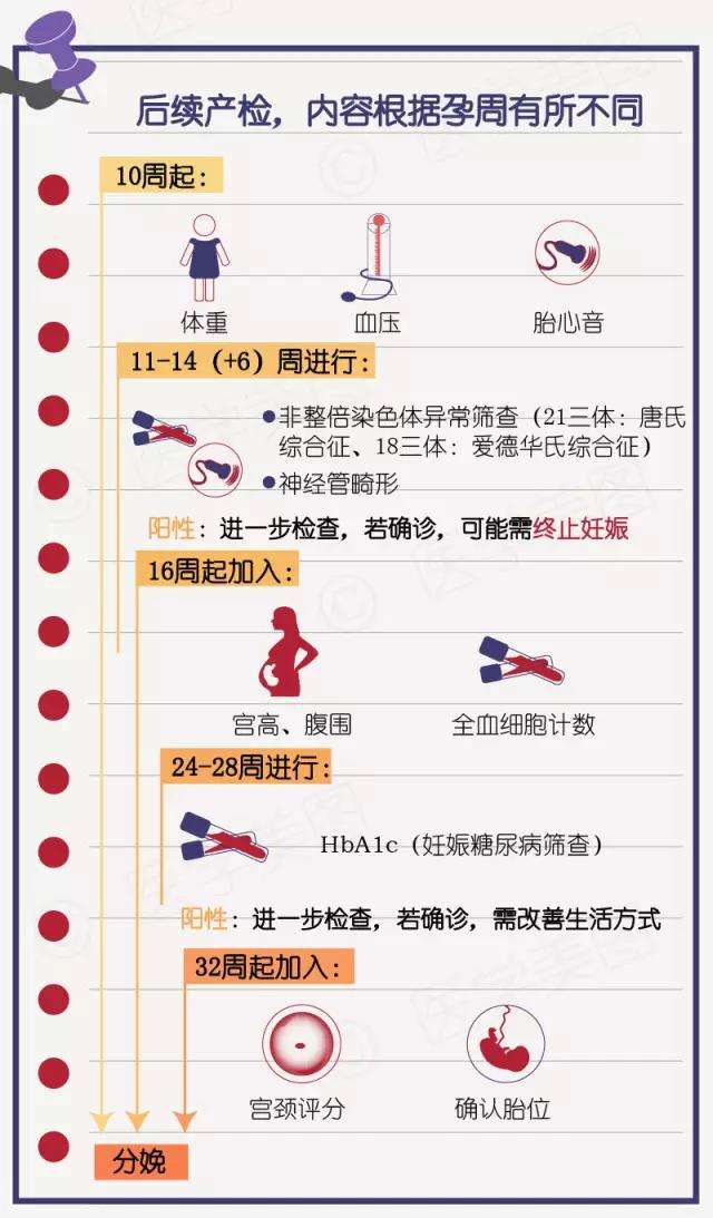 胎儿体重与孕周对照表 万图壁纸网