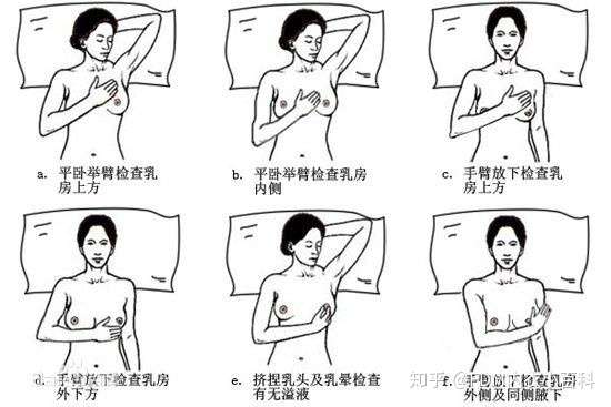 答疑 一次性讲明白乳头内陷该怎么办 知乎