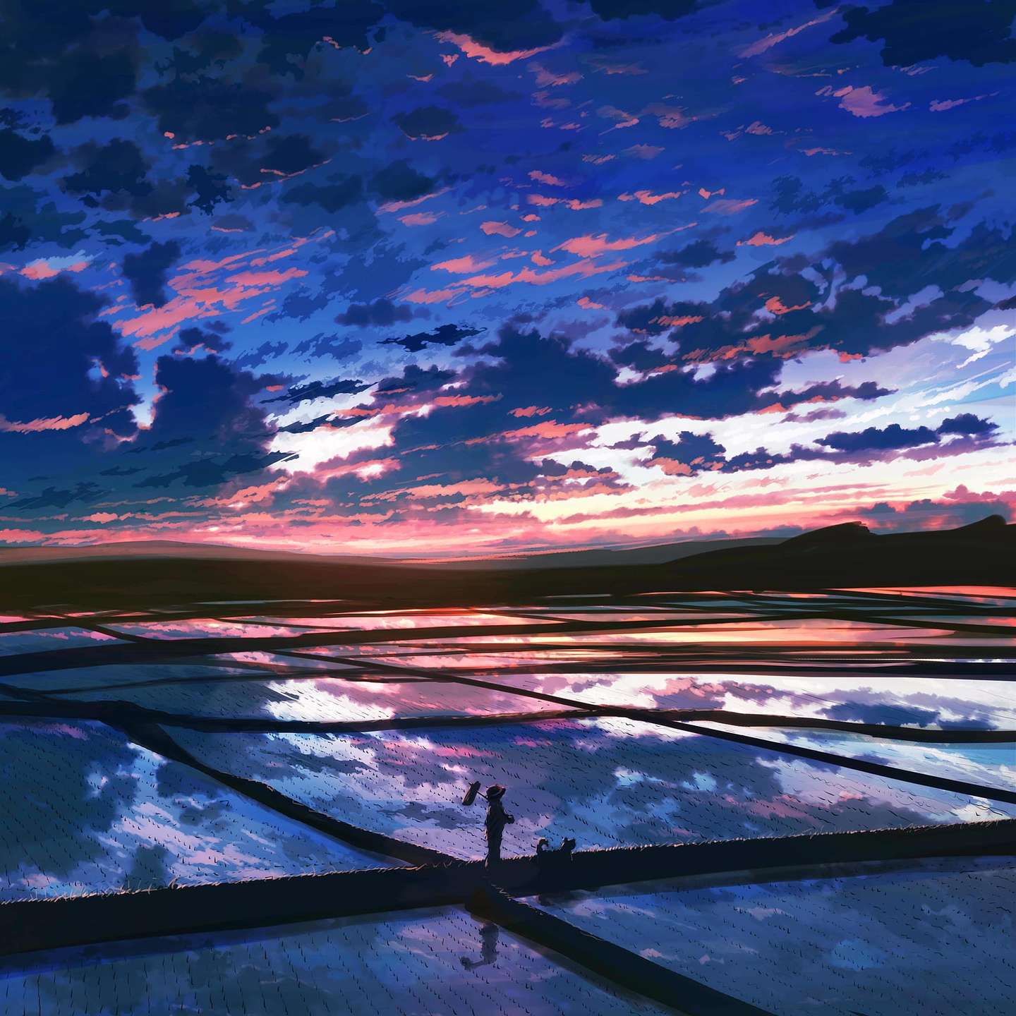 Pixiv 风景 知乎