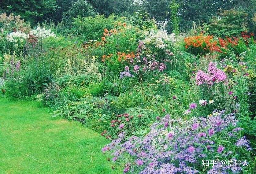 春天来了 我不允许你们没有这些植物 花园篇 知乎
