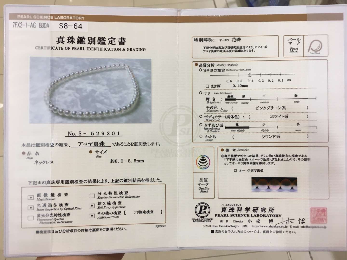 为什么海水珠价高 知乎