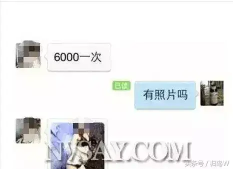 外围女是什么意思呀?外围单有哪几种骗局