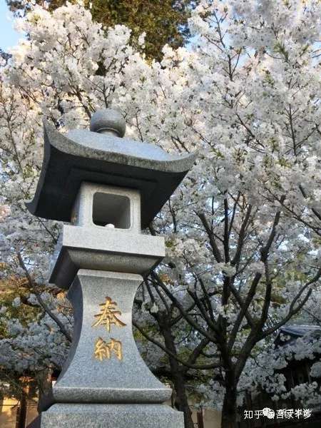 熊本县 健军神社熊本熊肥后本妙寺御舆来海岸 知乎