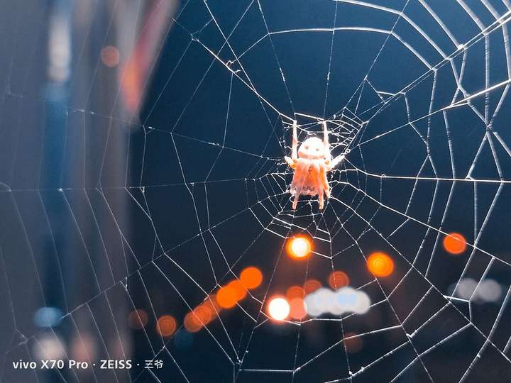 #V粉十年#见证vivo影像力升华