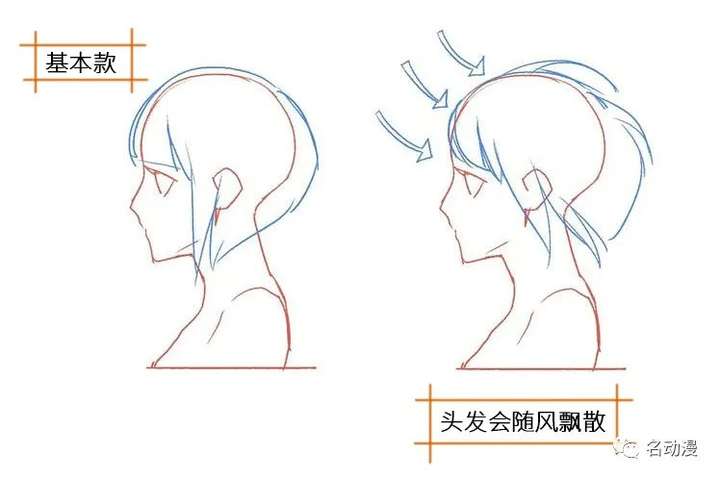 动画头发飘动分解图图片