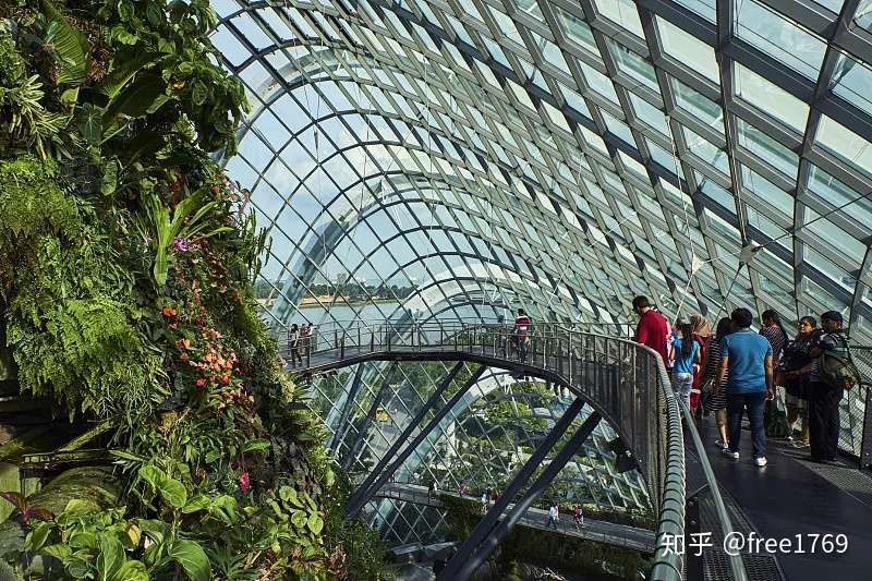 农业温室未来发展蓝海 知乎