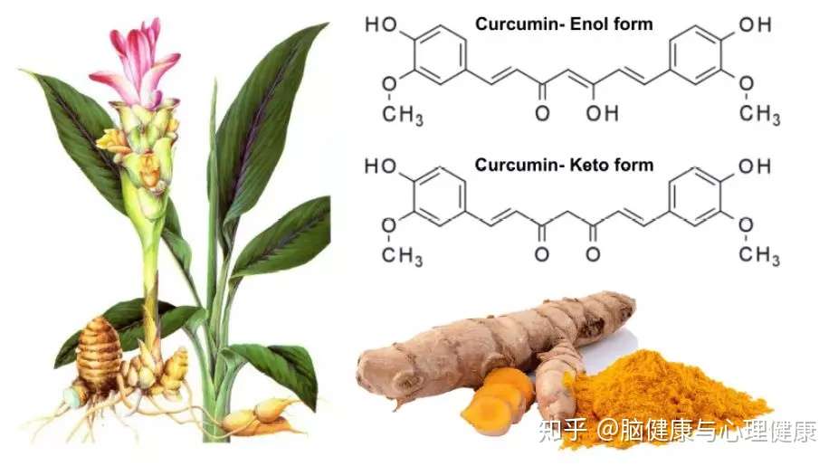 姜黄素的健康益处和副作用 知乎