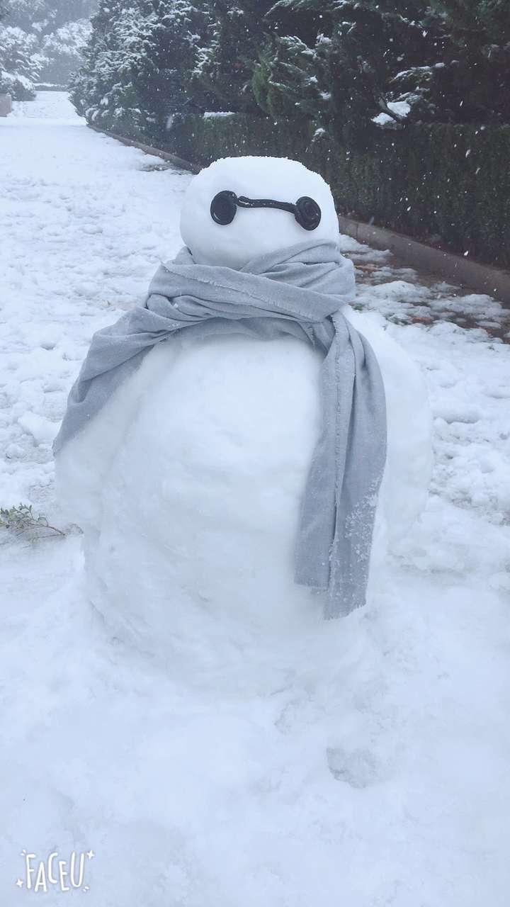 大家来晒一晒自己堆的雪人照片?