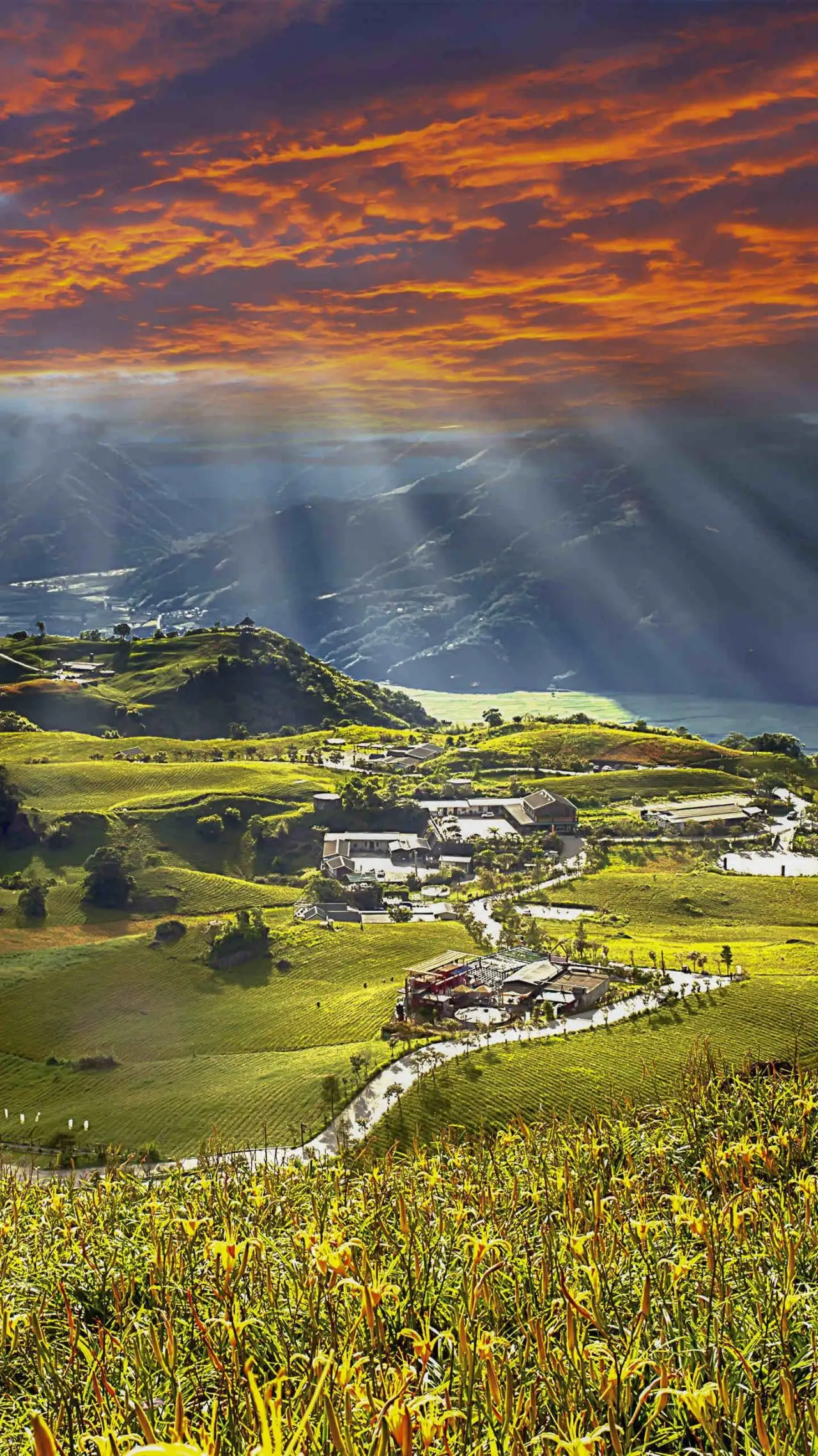 南国的冬季 知乎