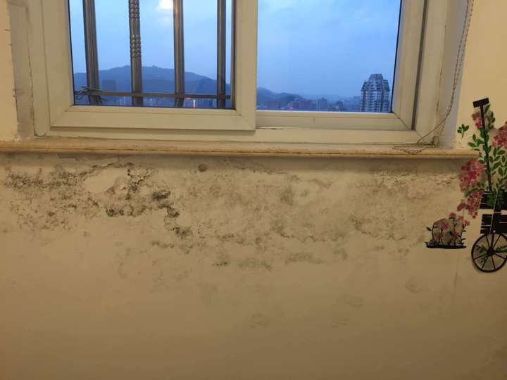 客厅墙面回潮发霉,准备重装.有没有好的装修方式能避免发霉?谢谢!