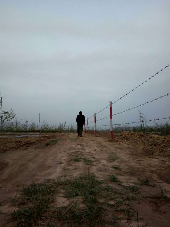 你最喜欢的背影照片是哪张?