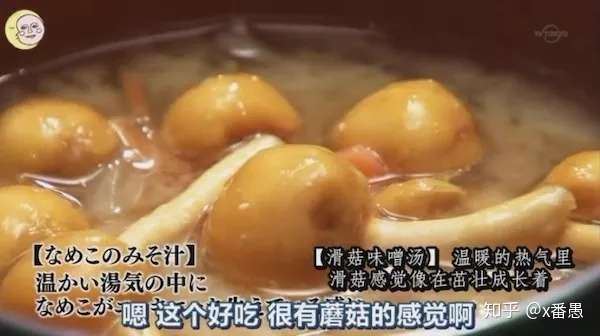 Da La 五郎又回来了 孤独的美食家 知乎