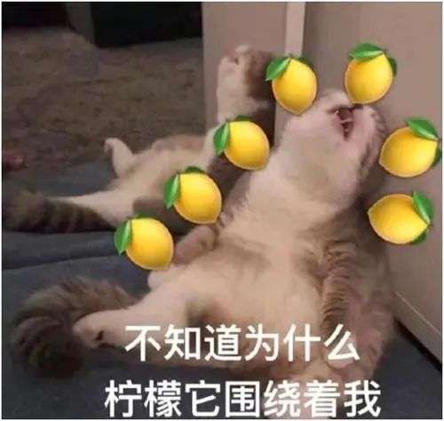 在中国捡到陨石,可以不上交给国家吗?-锋巢网