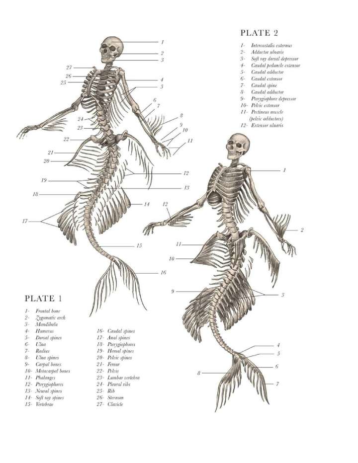 你有哪些「当时我就懵逼了」的经历?