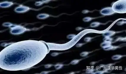 成都助孕（男性不育征兆有哪些？番禺男科科普）