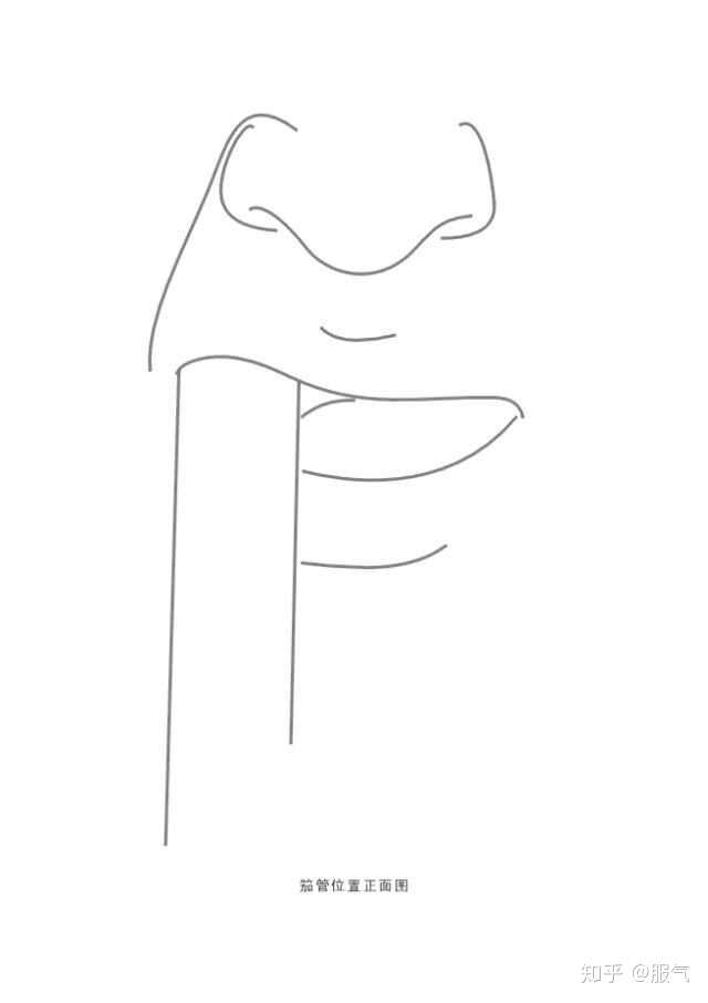 冒顿潮尔 吹法参见胡笳(没找到别的吹的图)