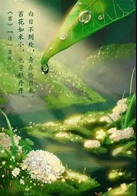 苔花如米小 也学牡丹开 知乎