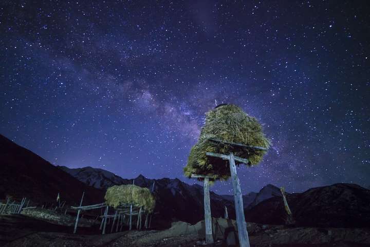 桃花的样子 星空图片