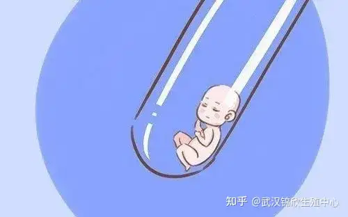 广州借卵费用（学会了吗）