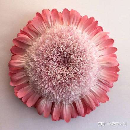 我与艺术家之间不是差了一把美工刀 而是差了一双巧手 知乎