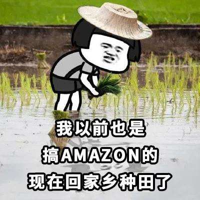 中小卖家在亚马逊做大件产品如何规避风险?