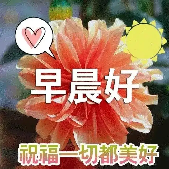 非常漂亮早安问候图片带字温馨，早晨问候语动态图片表情