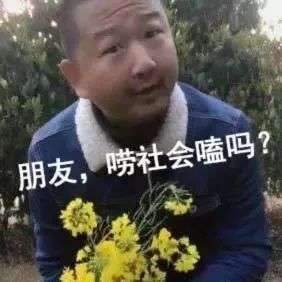 特斯拉凭什么不妥协？-锋巢网