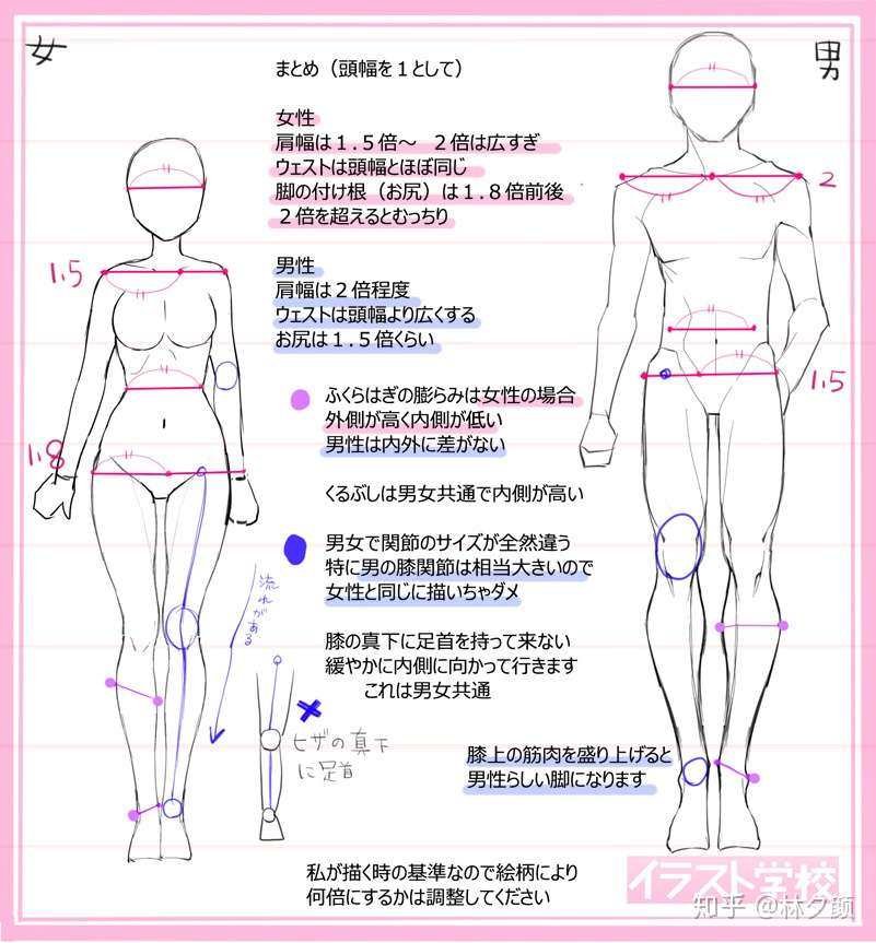 动漫男女的不同绘画表现 画不好男女的你 可以看起来了 知乎