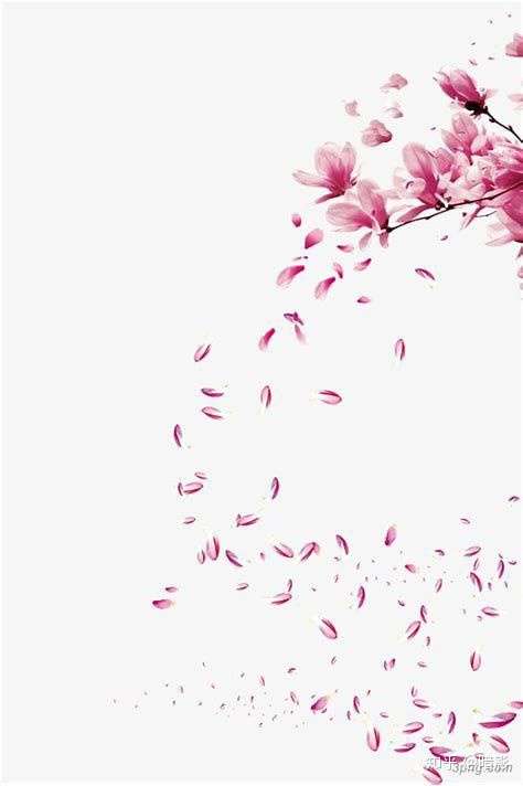 是一片花瓣还是一瓣花瓣?