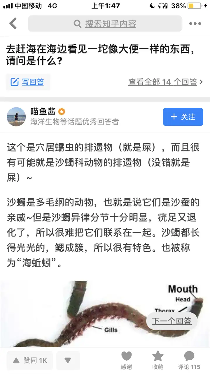 墻裂推薦（對(duì)于知乎一些言論的困惑和建議）知乎上的言論，對(duì)于知乎一些言論的困惑，中文版霍格沃茨血統(tǒng)測(cè)試，