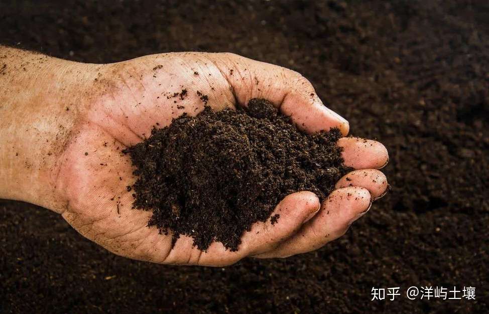 益富源土壤消毒液农用杀菌剂姜蔬菜大棚草莓植物泥土花卉果树土地