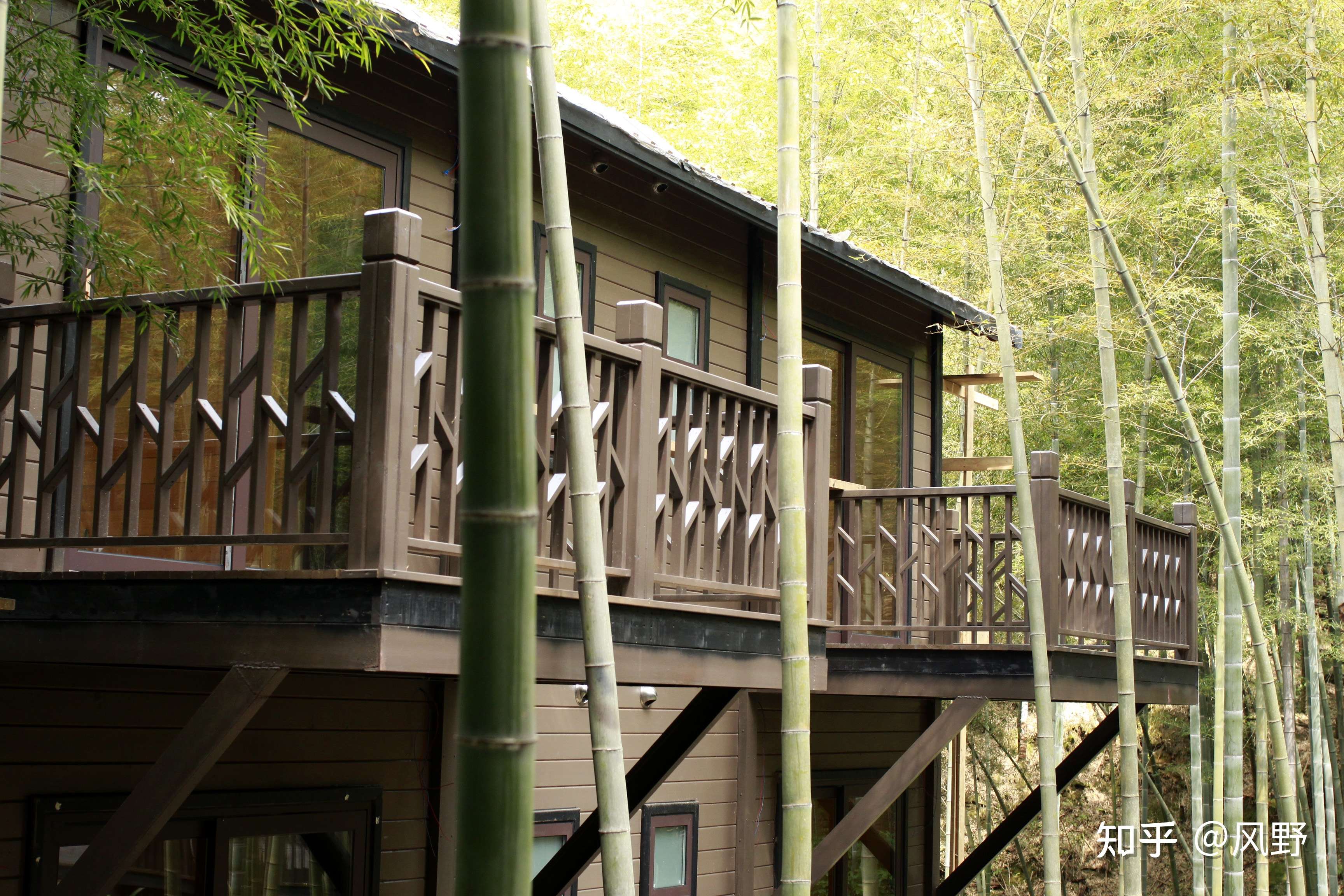 风野 的想法: 庭院深深深几许,竹林深处有人家 - 知乎