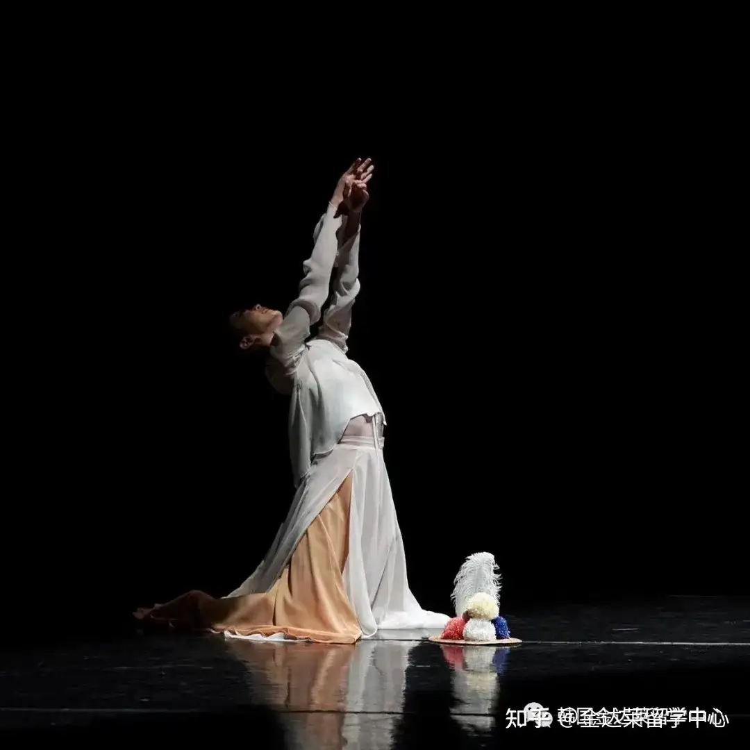 录取案例】国民大学，祥明大学，檀国大学韩国舞蹈专业哪家强？ - 知乎