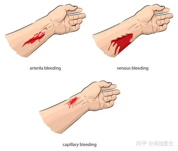 投资气血固本口服液、再添新荣誉：鸿茅药酒风波后，鲍洪升很忙……_手机