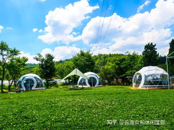上海助孕公司（太疯狂了）