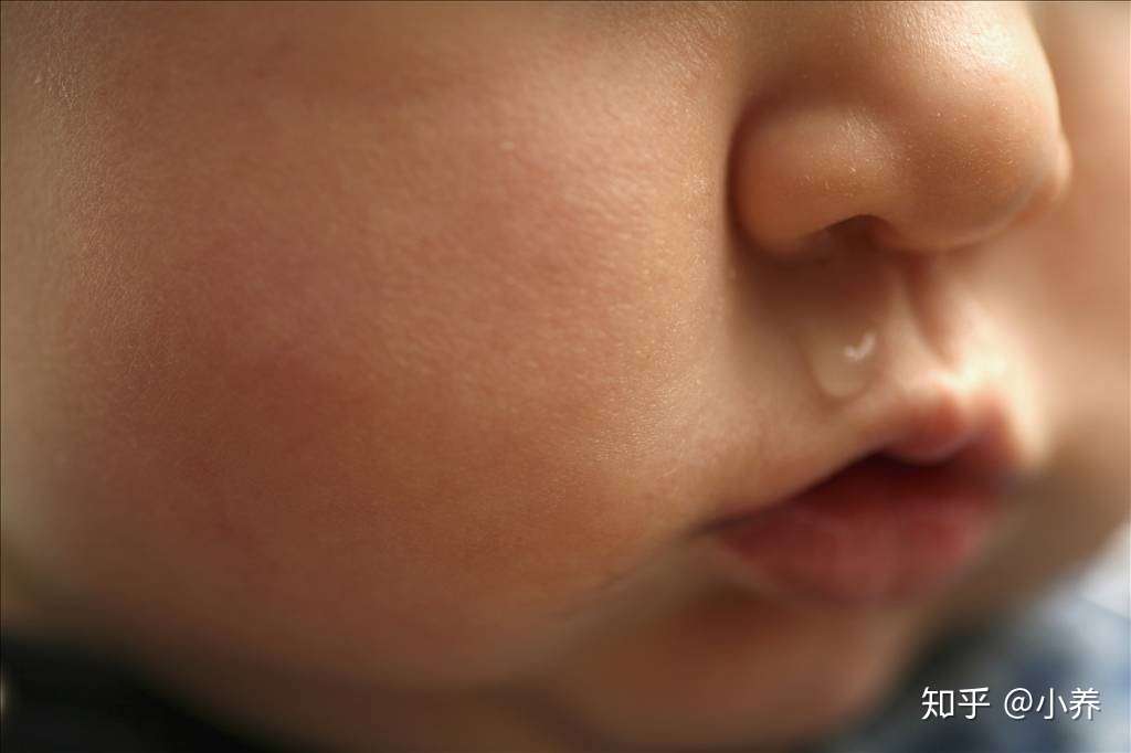 我们居然用1个鼻孔呼吸 鼻子的10个神奇小秘密 知乎