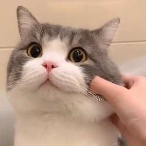 已经和男朋友aa了房租他还要求a买菜的钱过分吗