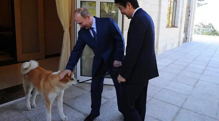 安倍晋三访美见川普，彼此各怀不同的目的