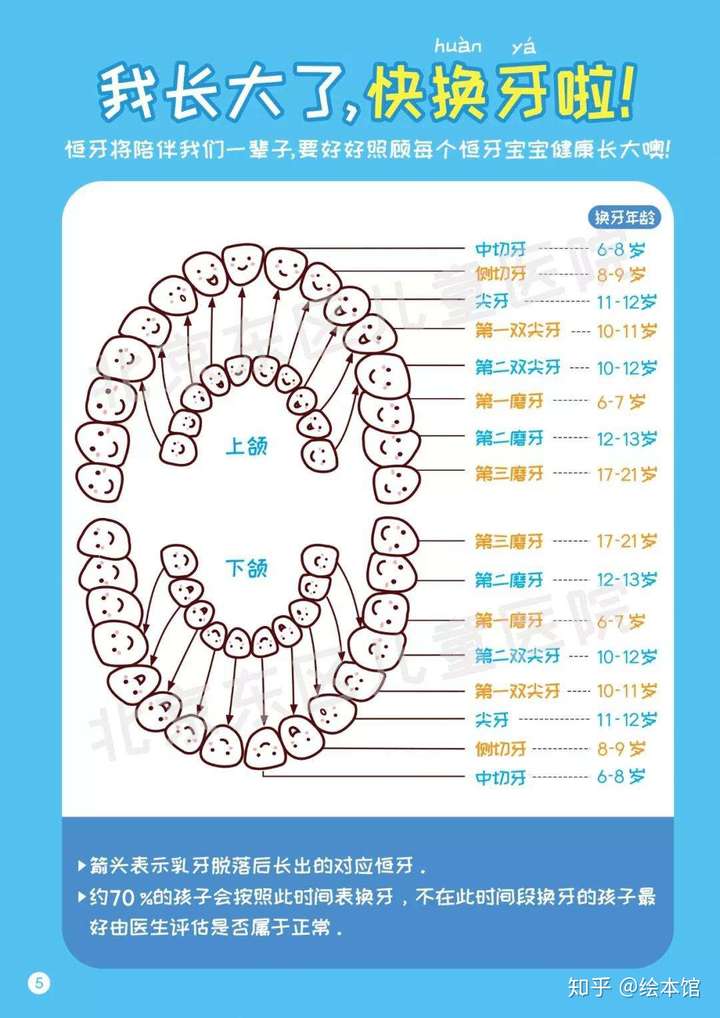 孩子什么时候会换牙期间需要注意什么