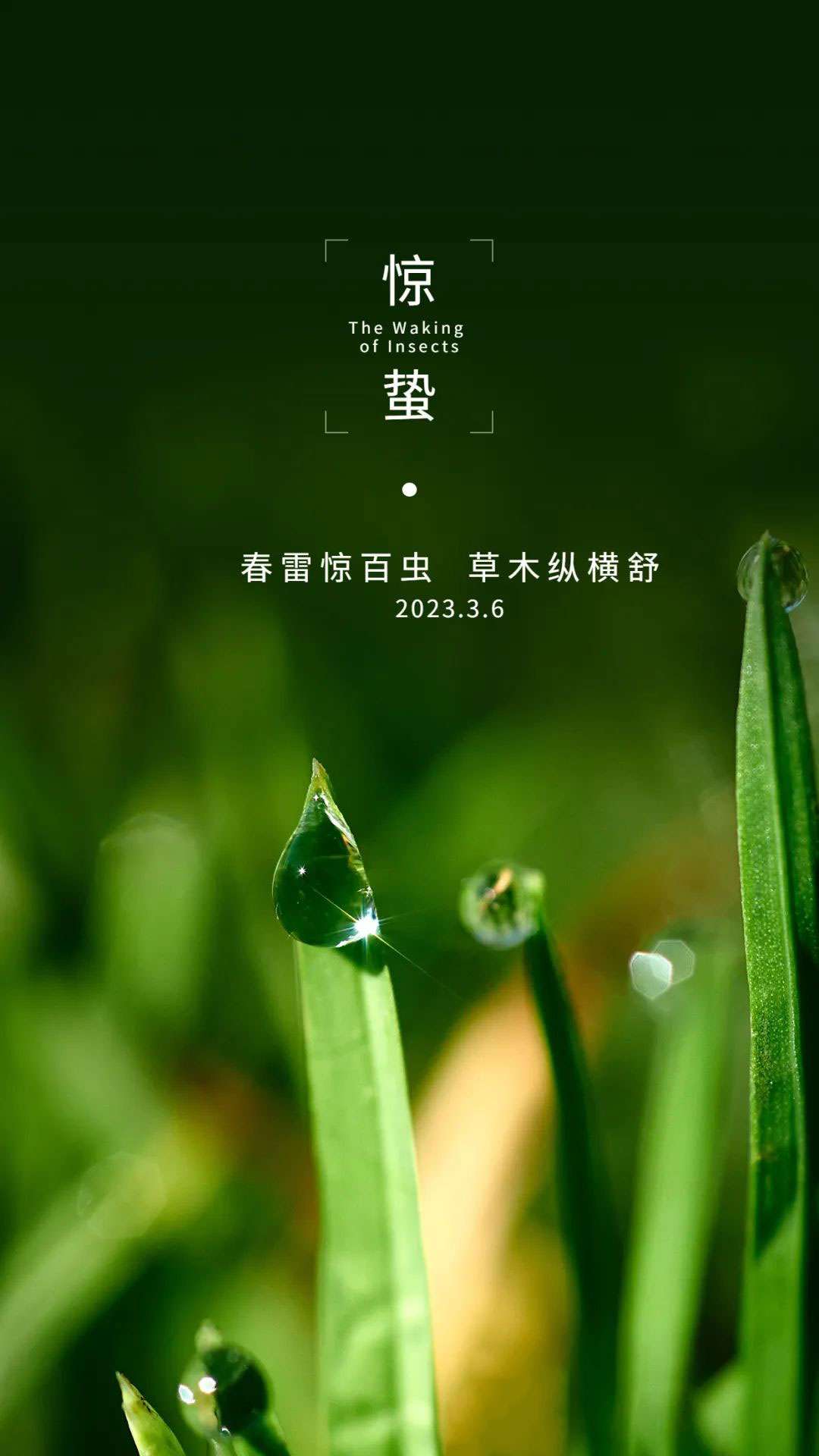 福兴坚哥聊电脑 的想法: 惊蛰春意萌动,万物生机盎然 - 知乎