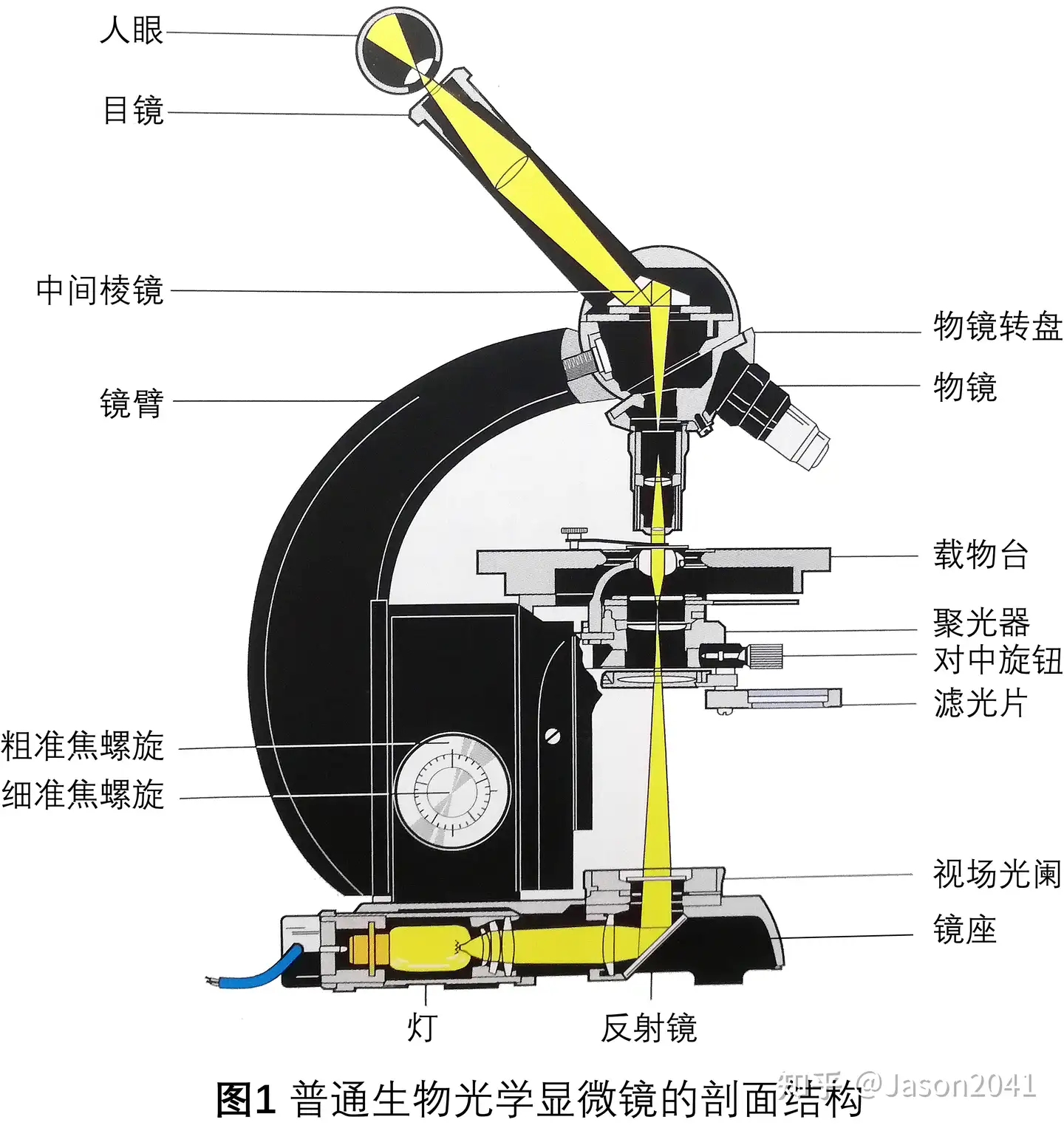 普通生物光学显微镜的结构- 知乎