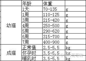 成年猫的正常体重应该在什么范围